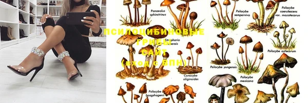 гашишное масло Елизово
