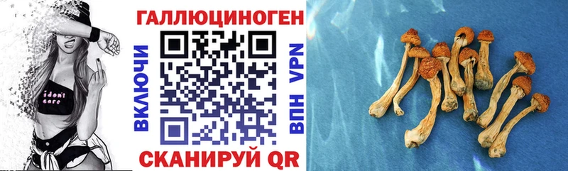 Псилоцибиновые грибы Magic Shrooms Пересвет